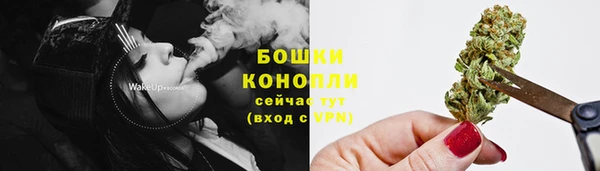 2c-b Богданович